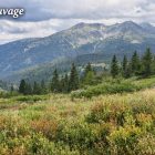 Potée au chou – La recette Auvergnate traditionnelle de la potée